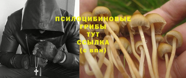 таблы Алзамай