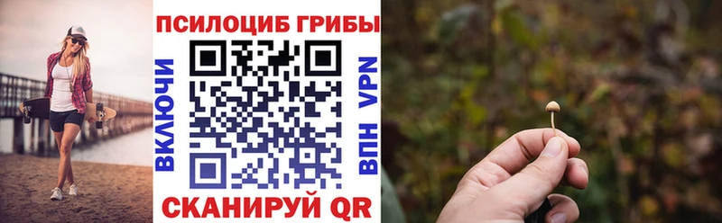 Псилоцибиновые грибы GOLDEN TEACHER  Гаврилов Посад 